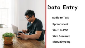 Data Entry Job In Pakistan 2024