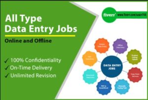 Data Entry Job In Pakistan 2024