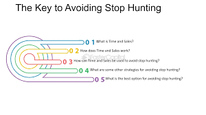 Amazon Product Hunting 2025